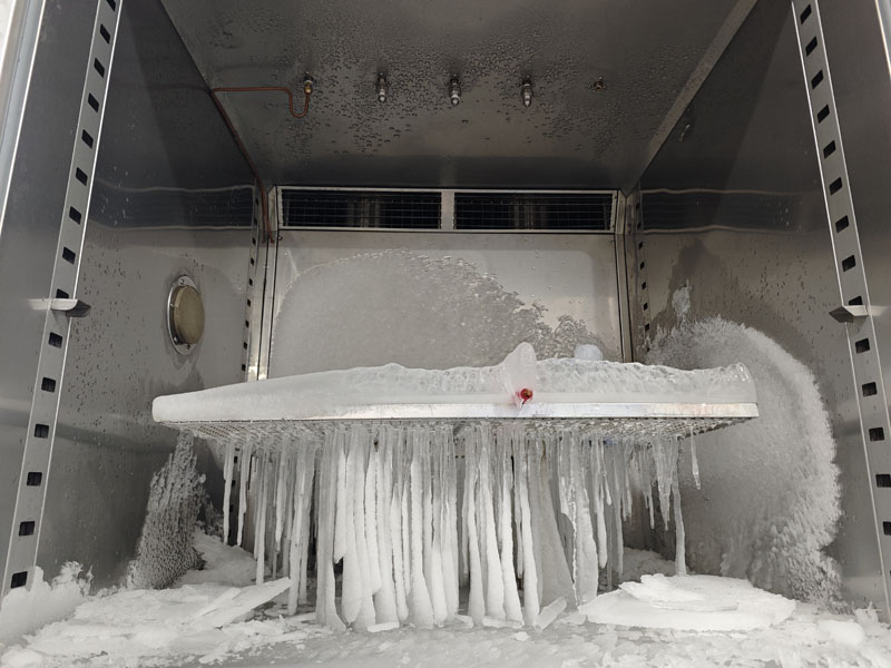 IMG_20250109_100156.jpg IMG_20250109_100156.jpg